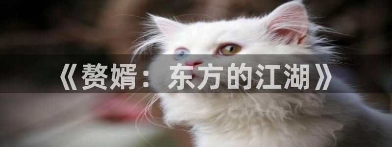 78动漫安卓：《赘婿：东方的江湖》