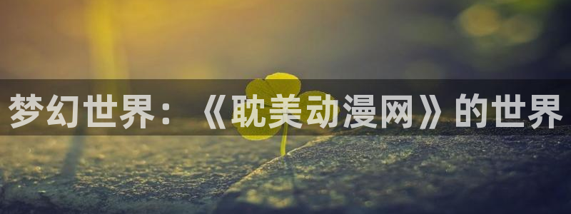 178动漫：梦幻世界：《耽美动漫网》的世界