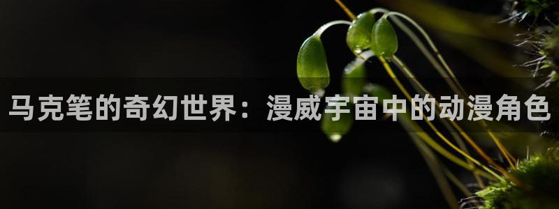 78动漫最新版本：马克笔的奇幻世界：漫威宇宙中的动漫角色