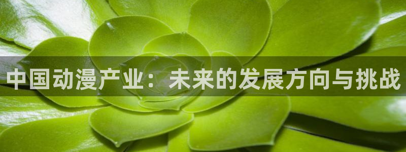 78动漫下载