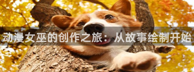 78动漫网站维护