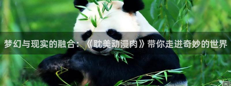 78动漫官网：梦幻与现实的融合：《耽美动漫肉》带你走进奇妙的世界
