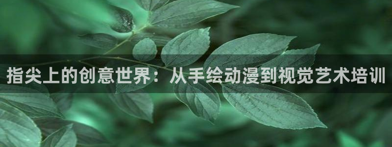 78动漫寿屋：指尖上的创意世界：从手绘动漫到视觉艺术培训