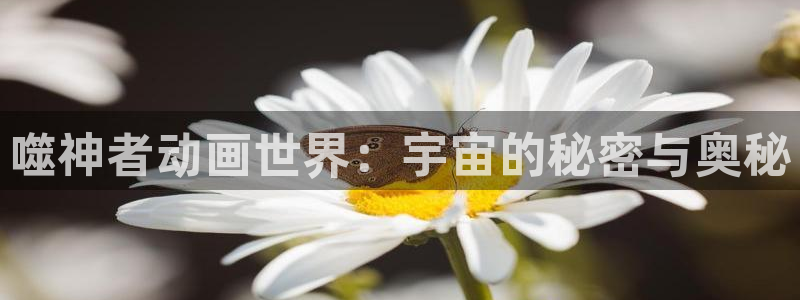 78动漫下载安装：噬神者动画世界：宇宙的秘密与奥秘